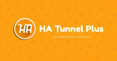 how to setup local network on ha tunnel plus