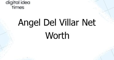 angel del villar net worth 4440