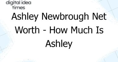 ashley newbrough net worth how much is ashley newbrough worth 8472