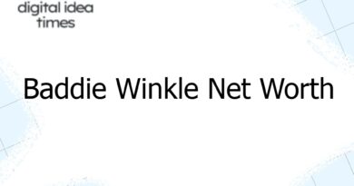 baddie winkle net worth 6849