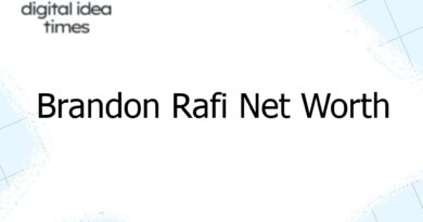 brandon rafi net worth 10249