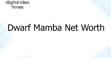 dwarf mamba net worth 4254