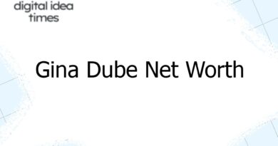 gina dube net worth 7141