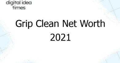 grip clean net worth 2021 13299
