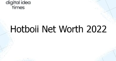 hotboii net worth 2022 8919