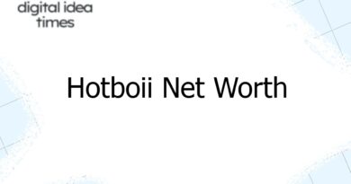 hotboii net worth 3474