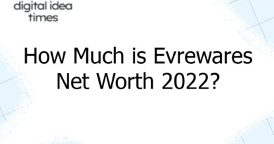 how much is evrewares net worth 2022 4266