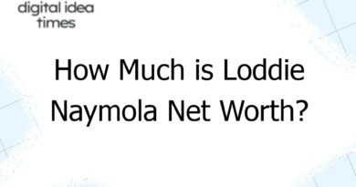 how much is loddie naymola net worth 9207