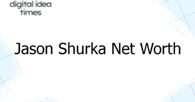 jason shurka net worth 7355