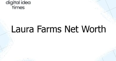 laura farms net worth 3928
