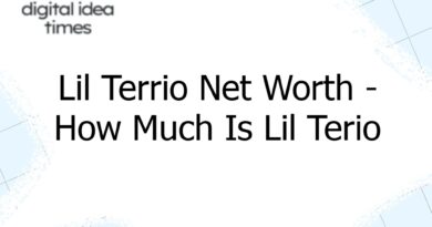 lil terrio net worth how much is lil terio worth 7499