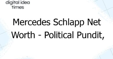 mercedes schlapp net worth political pundit columnist and lobbyist 5453