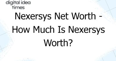 nexersys net worth how much is nexersys worth 6549