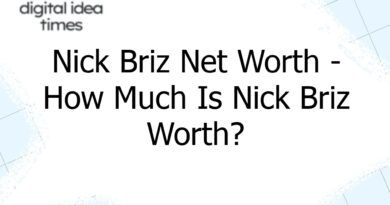 nick briz net worth how much is nick briz worth 6551