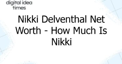 nikki delventhal net worth how much is nikki worth 3658