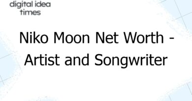 niko moon net worth artist and songwriter 5489