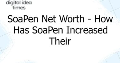 soapen net worth how has soapen increased their net worth 4996