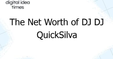 the net worth of dj dj quicksilva 3614