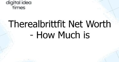 therealbrittfit net worth how much is therealbrittfit worth 3784