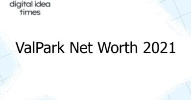 valpark net worth 2021 7849
