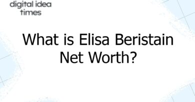 what is elisa beristain net worth 10685