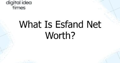 what is esfand net worth 8829