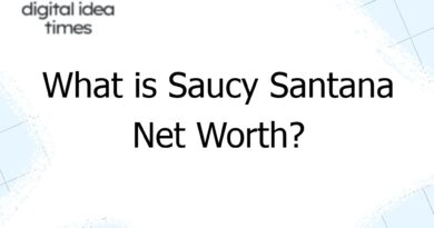 what is saucy santana net worth 7861