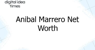 anibal marrero net worth 12417