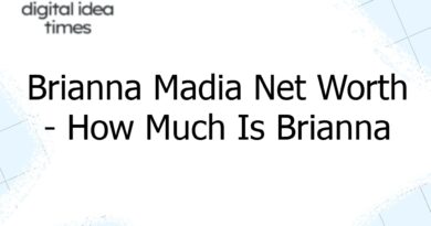 brianna madia net worth how much is brianna madia worth 12607