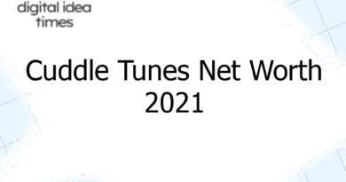 cuddle tunes net worth 2021 12817