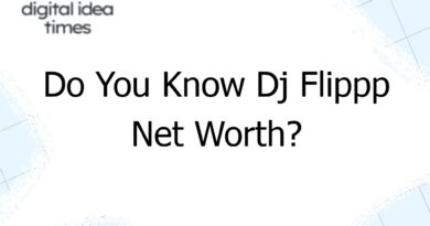 do you know dj flippp net worth 12981