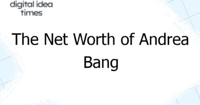 the net worth of andrea bang 12395