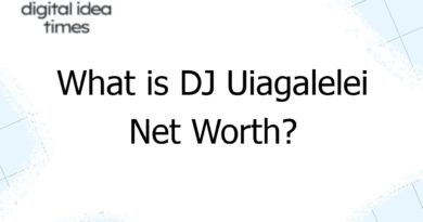 what is dj uiagalelei net worth 12985