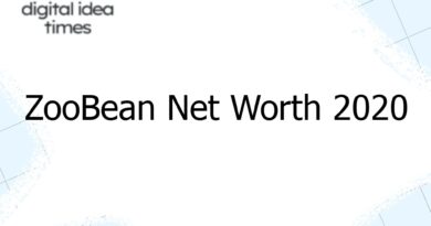 zoobean net worth 2020 12281