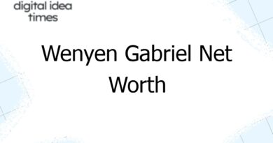 Wenyen Gabriel Net Worth